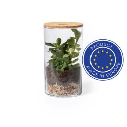 Szklane terrarium, nasiona kaktusa z nadrukiem Twojego logo, materiał: korek, szkło, szkło borokrzemowe, kolor: neutralny