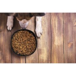 Składana miska dla psa RPET z nadrukiem Twojego logo, materiał: papier, poliester, rpet, kolor: brązowy